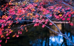 美女模特直播丰胸全程